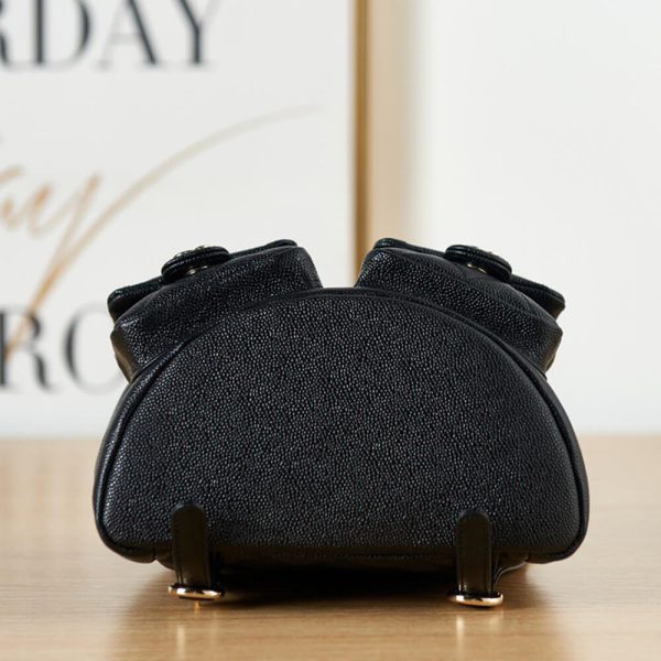 Ch*el backpack